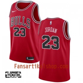NBA Chicago Bulls Trikot Michael Jordan 23 Nike 2017-18 Rot Swingman - Kinder